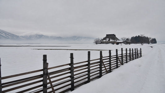 Fallow paddies deep in snow behind a wooden snow fence under flat grey sky, the damp winter Niigata rice crackers were engineered around.